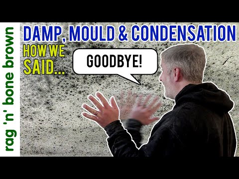 8 Steps To Fixing Damp, Mould, Condensation & Humidity In Our Home