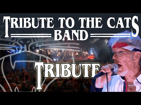 Veerman Nieuwe Zanger Bij Tribute To The Cats Band